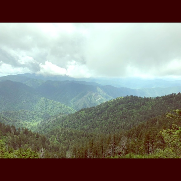 Meet your Posher, Emily - Picture 1 of 1